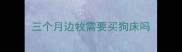 三个月边牧需要买狗床吗