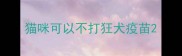 猫咪可以不打狂犬疫苗