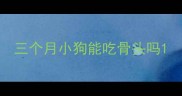三个月小狗能吃骨头吗