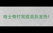 哈士奇打完疫苗后发热