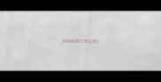 狗狗剪尾巴怎么剪