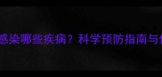 拉布拉多犬易感染哪些疾病科学预防指南与传染性疾病全