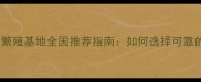 边境牧羊犬繁殖基地全国推荐指南如何选择可靠的繁育机构