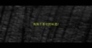 狗狗不喜欢的味道
