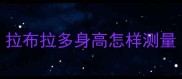 拉布拉多身高怎样测量