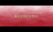 重庆正规的宠物店