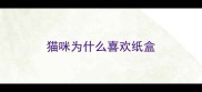 猫咪为什么喜欢纸盒