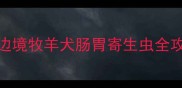 边牧呕吐带线虫警惕边境牧羊犬肠胃寄生虫全攻略附诊断与治疗指南