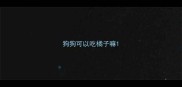 狗狗可以吃橘子嘛