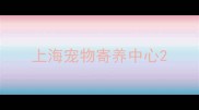 上海宠物寄养中心