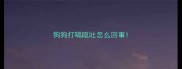 狗狗打嗝呕吐怎么回事