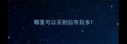 哪里可以买到拉布拉多