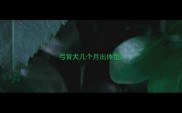 弓背犬几个月出体型