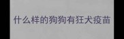 什么样的狗狗有狂犬疫苗