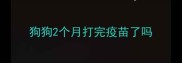 狗狗2个月打完疫苗了吗