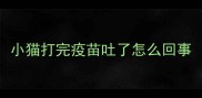 小猫打完疫苗吐了怎么回事