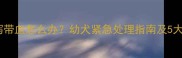 哈士奇腹泻带血怎么办幼犬紧急处理指南及5大致病因素