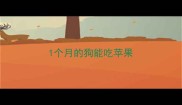 1个月的狗能吃苹果