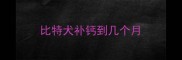 比特犬补钙到几个月