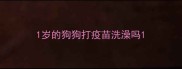 1岁的狗狗打疫苗洗澡吗