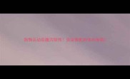 狗狗运动后腹泻别慌资深兽医的保命指南