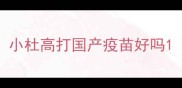 小杜高打国产疫苗好吗