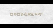拉布拉多在家乱叫吗