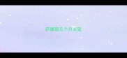 萨摩耶几个月长变