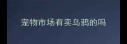 宠物市场有卖乌鸦的吗