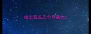 哈士奇长几个月最大