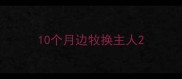 10个月边牧换主人