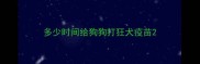 多少时间给狗狗打狂犬疫苗