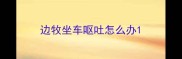 边牧坐车呕吐怎么办