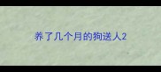 养了几个月的狗送人