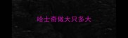 哈士奇做大只多大