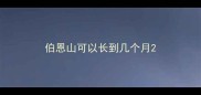 伯恩山可以长到几个月