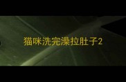 猫咪洗完澡拉肚子