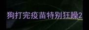 狗打完疫苗特别狂躁