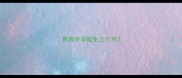 贵宾怀孕能生几个月