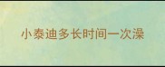 小泰迪多长时间一次澡