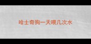 哈士奇狗一天喂几次水