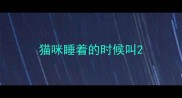 猫咪睡着的时候叫
