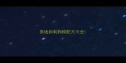 泰迪自制狗粮配方大全