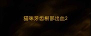 猫咪牙齿根部出血