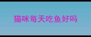 猫咪每天吃鱼好吗