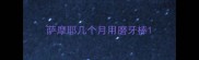 萨摩耶几个月用磨牙棒