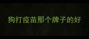 狗打疫苗那个牌子的好
