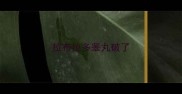 拉布拉多睾丸破了