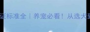 哈士奇CKU认证标准全养宠必看从选犬到养护全攻略