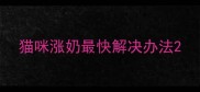 猫咪涨奶最快解决办法